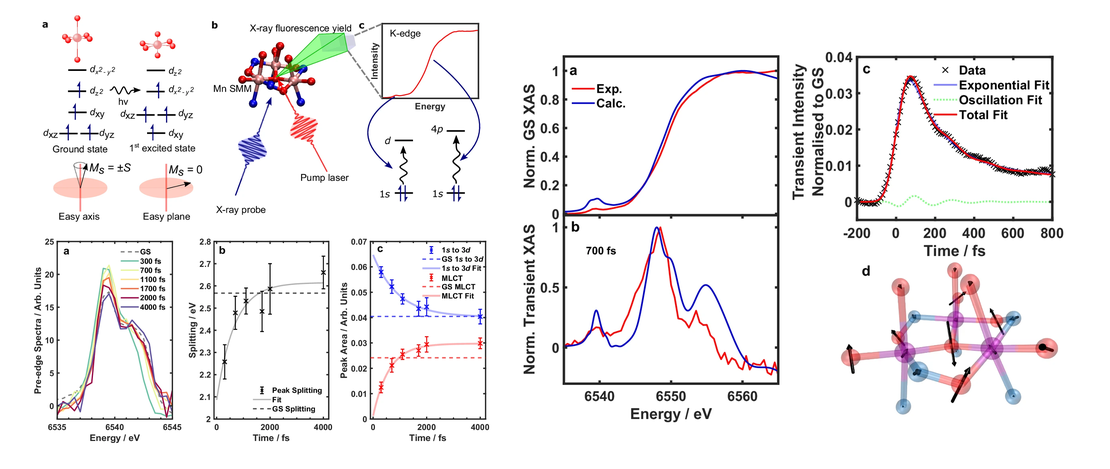 Tracking nuclear motion in single-molecule magnets using femtosecond X-ray absorption spectroscopy
