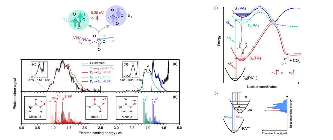 The Singlet–Triplet Gap of Pyruvic Acid