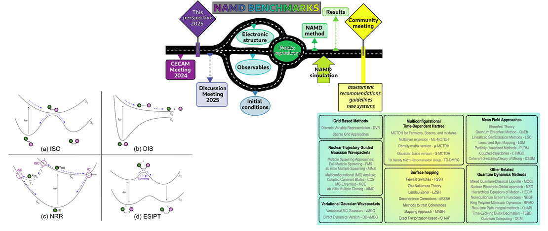 Roadmap for Molecular Benchmarks in Nonadiabatic Dynamics