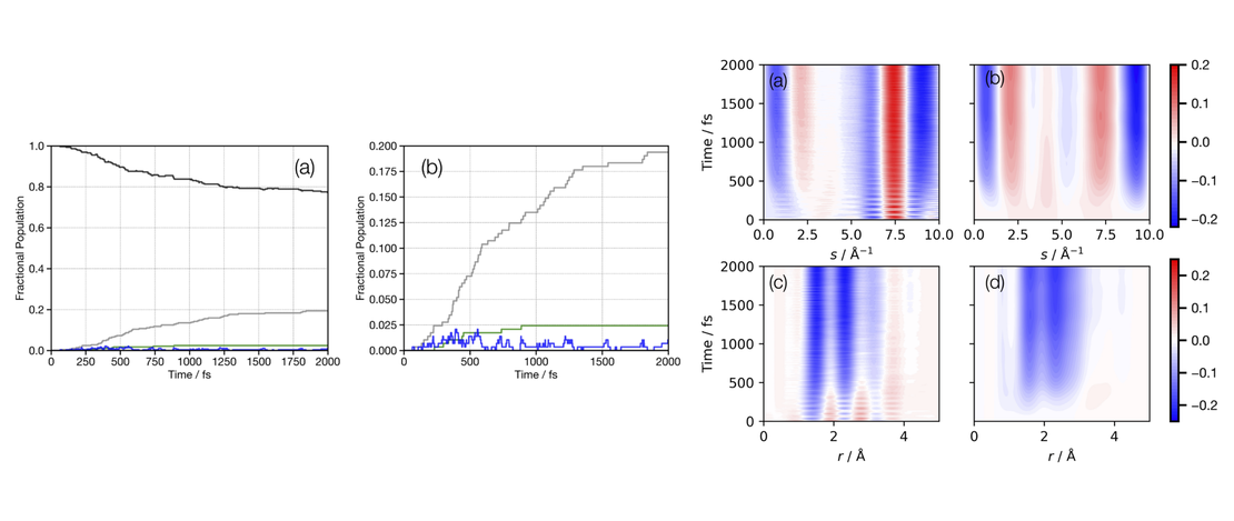 The Photochemistry of Rydberg-Excited Cyclobutanone: Photoinduced Processes and Ground State Dynamics