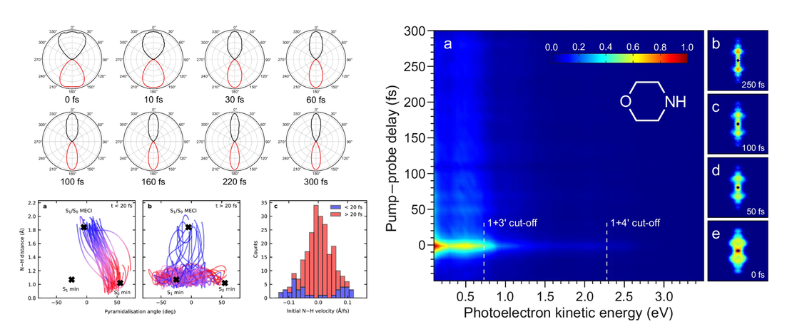 Decoupling structural molecular dynamics from excited state lifetimes using few-femtosecond ultraviolet resonant dispersive waves
