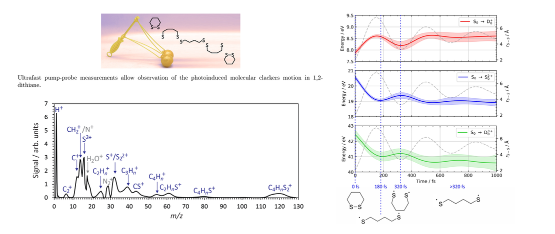 Ultrafast ring-opening dynamics of 1,2-dithiane following ultraviolet absorption